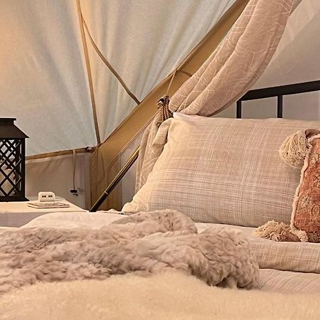 Shenandoah Valley Glamping - Amazing Views - Farm Edinburg Exterior photo