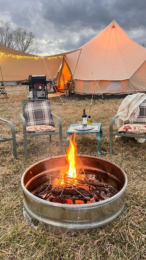 Shenandoah Valley Glamping - Amazing Views - Farm Edinburg Exterior photo