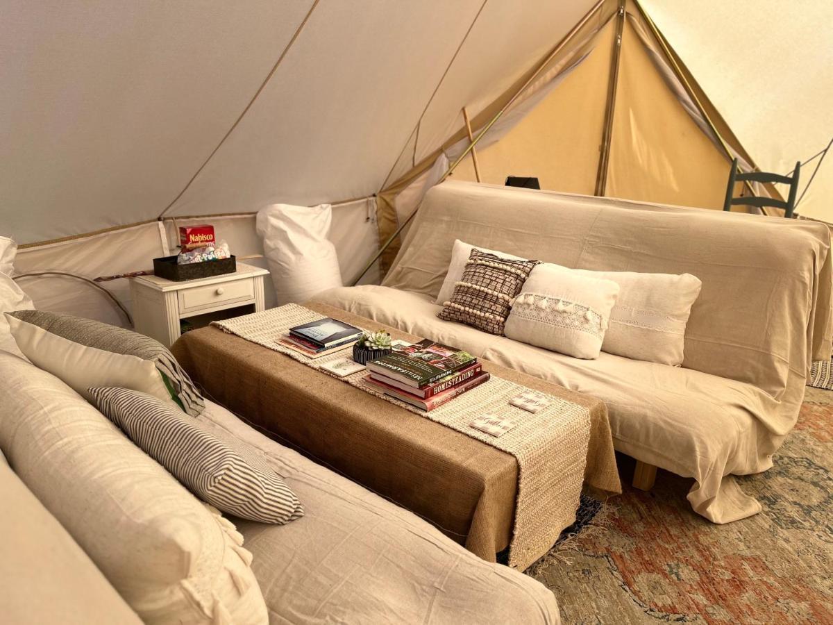 Shenandoah Valley Glamping - Amazing Views - Farm Edinburg Exterior photo