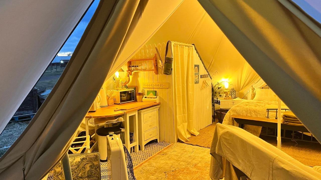 Shenandoah Valley Glamping - Amazing Views - Farm Edinburg Exterior photo
