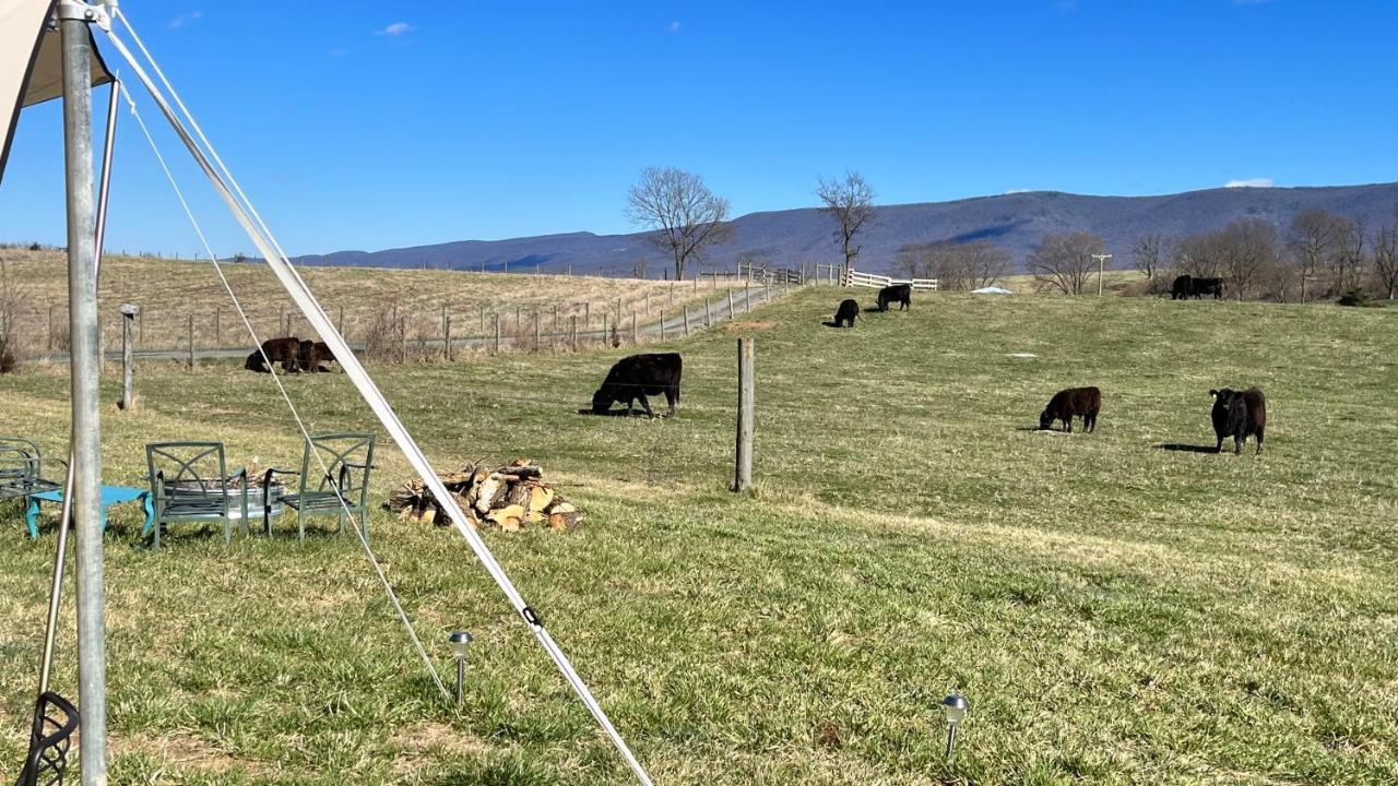 Shenandoah Valley Glamping - Amazing Views - Farm Edinburg Exterior photo